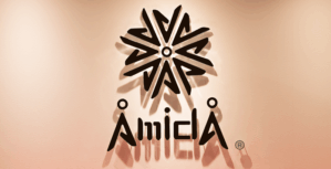 株式会社AMIDA