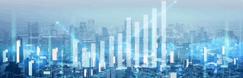 IR・投資家情報